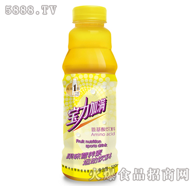 ӝMζIB(yng)500ml