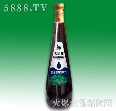 RҰ{(ln)ݮ֭828ml