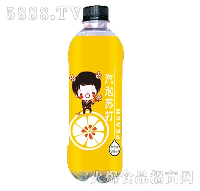 (dng)K508ml