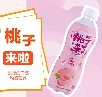 ϲo(w)Kˮζ490ml