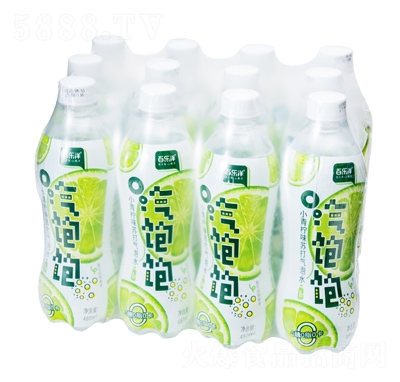 ٘KˮСζļ480ml12