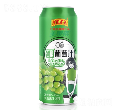 ϼ(li)ʯ֭(f)Ϲ֭490ml