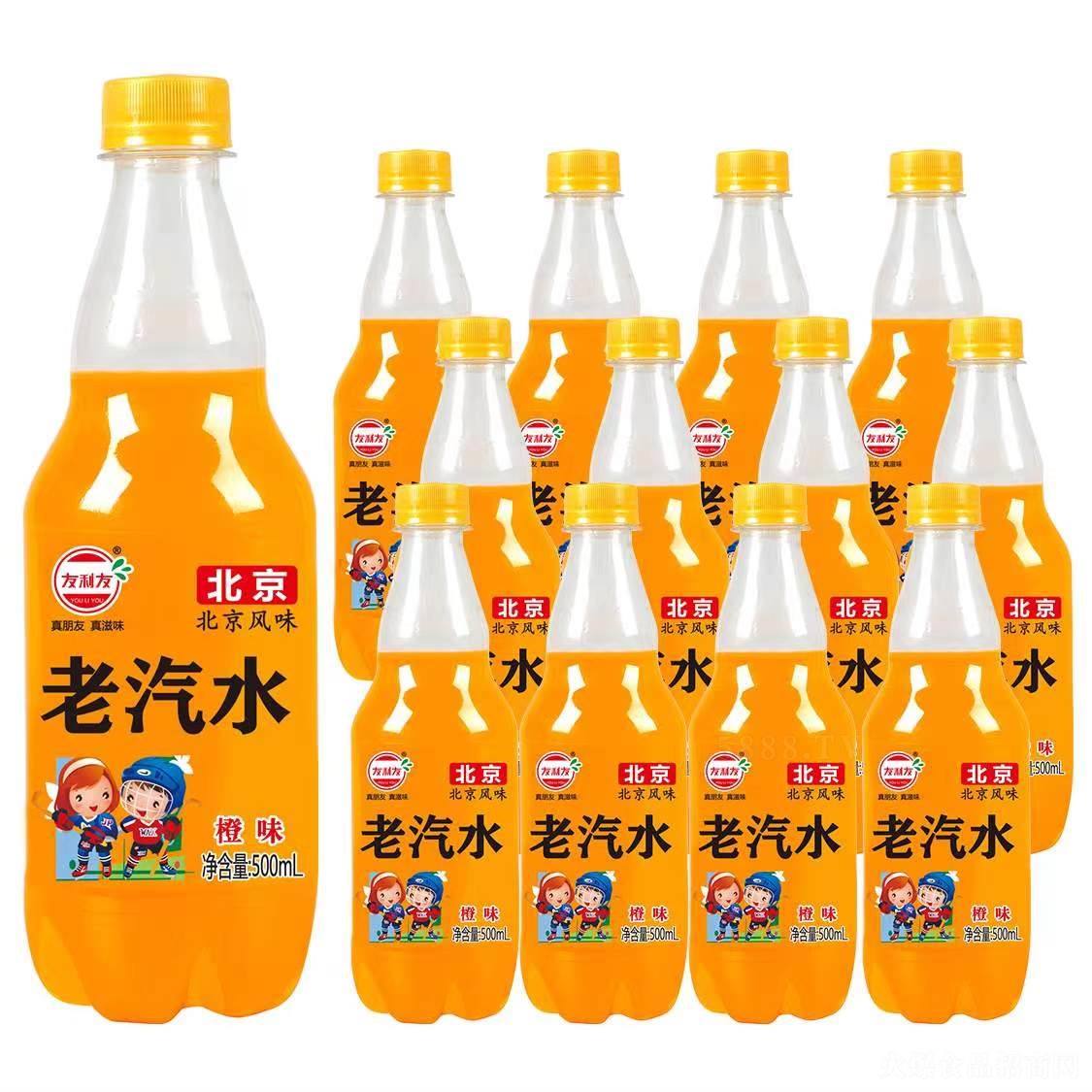 ѱˮζ̼500ml