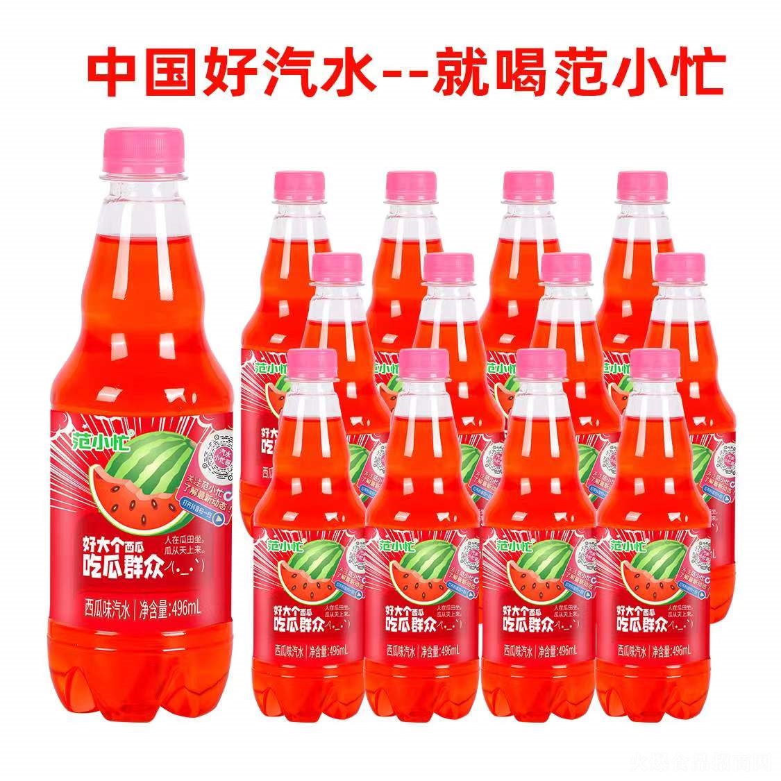 СæζL(fng)ζˮ̼496ml