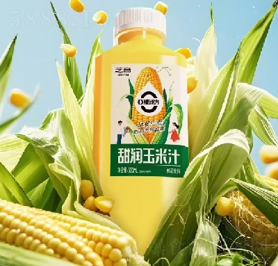 OEM֥(rn)֭500ml