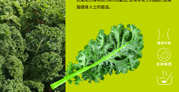 V|۵xƷ\(yn)I޹˾-߮_12